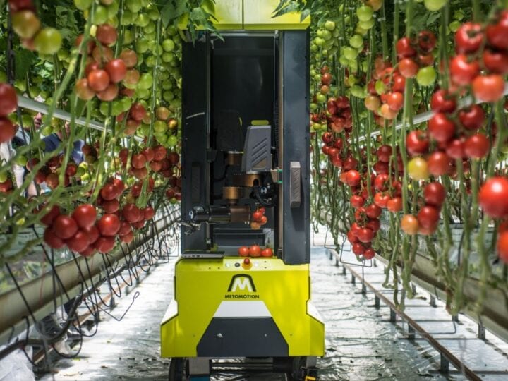 MetoMotion designs robots that replace human farm labor. Photo courtesy of MetoMotion
