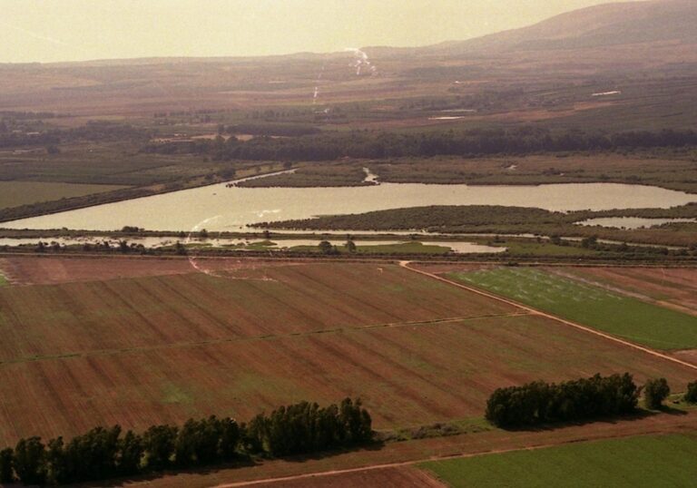 This is how the renewed Agamon Hula Lake looked in 1993. Photo by Yisrael Sinai/KKL-JNF Photo Archive