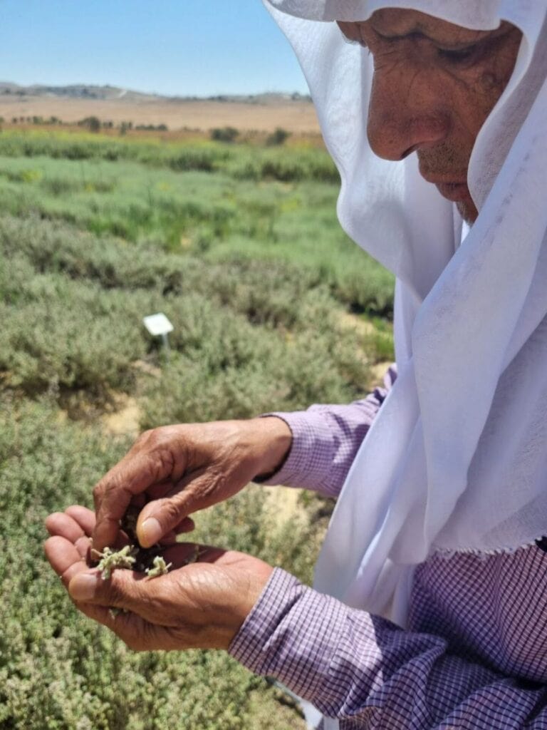 Ali Elawasha runs Wadi Attirâ€™s herbs and plants business. Photo by Yulia Karra