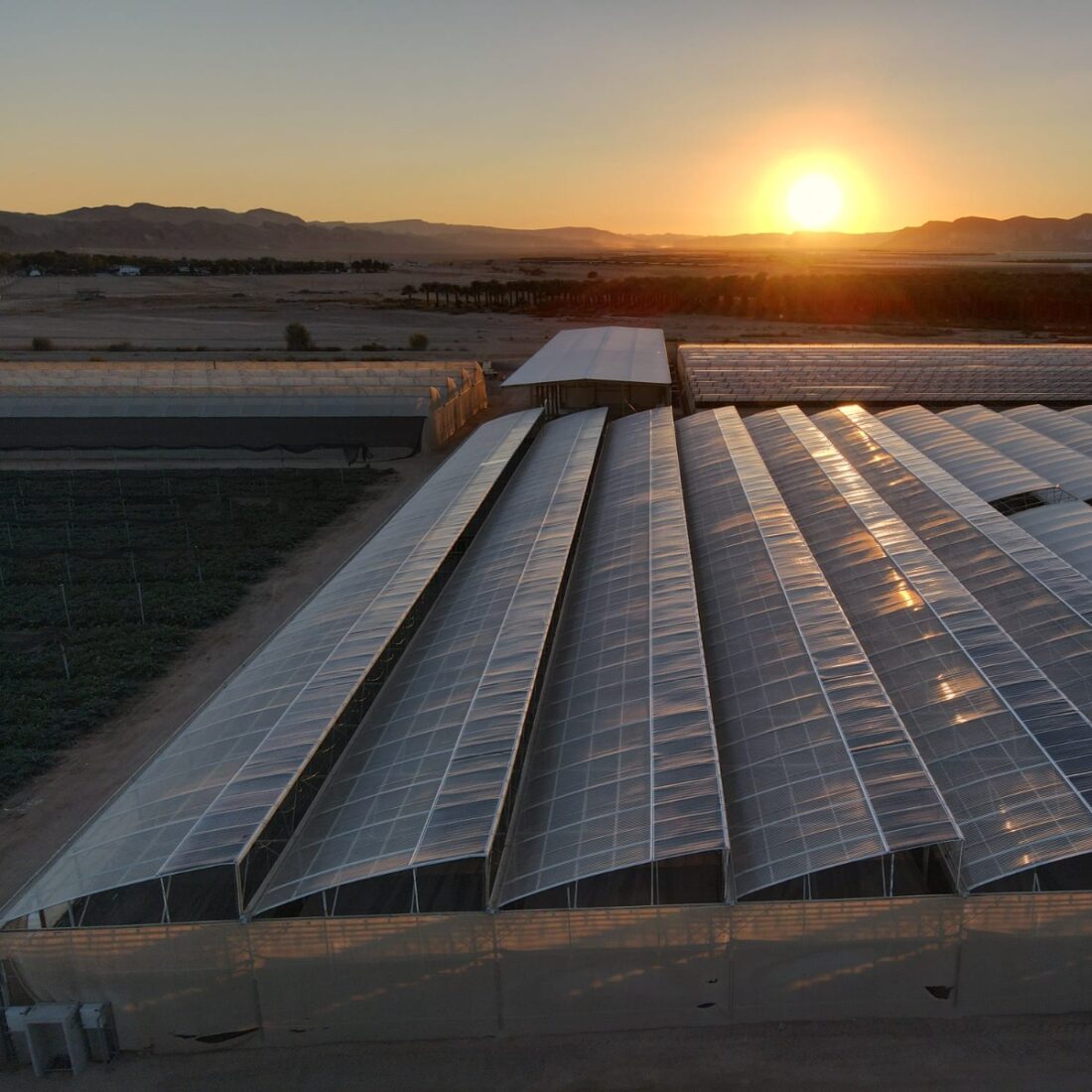 A greenhouse topped with Apollo Power's flexible solar film. Photo courtesy of Apollo Power