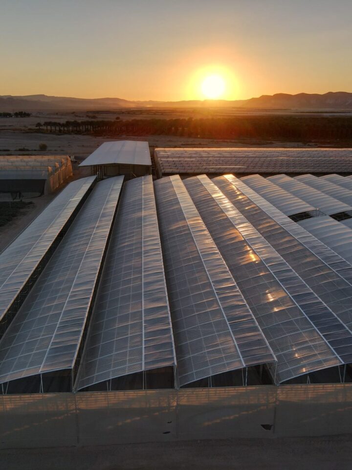 A greenhouse topped with Apollo Power's flexible solar film. Photo courtesy of Apollo Power