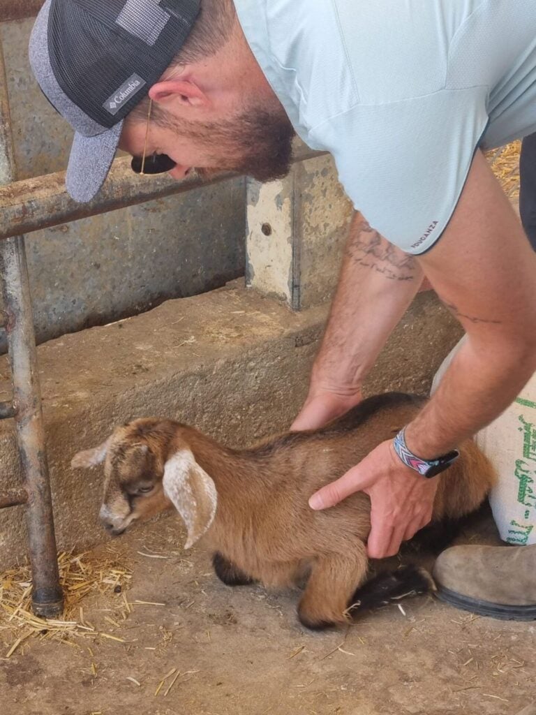 Nimrod Rogel holding a baby goat at the Wadi Attir farm. Photo by Yulia Kara