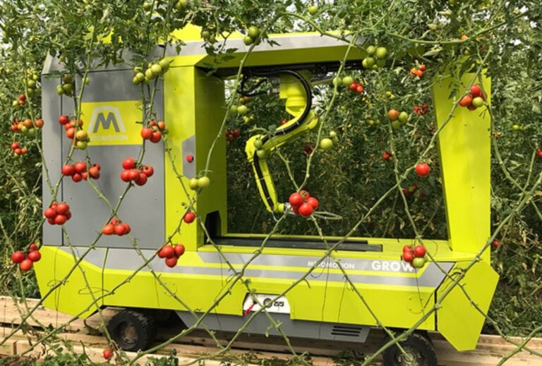 MetoMotionâ€™s GRoW robotic greenhouse tomato harvester. Photo courtesy of MetoMotion