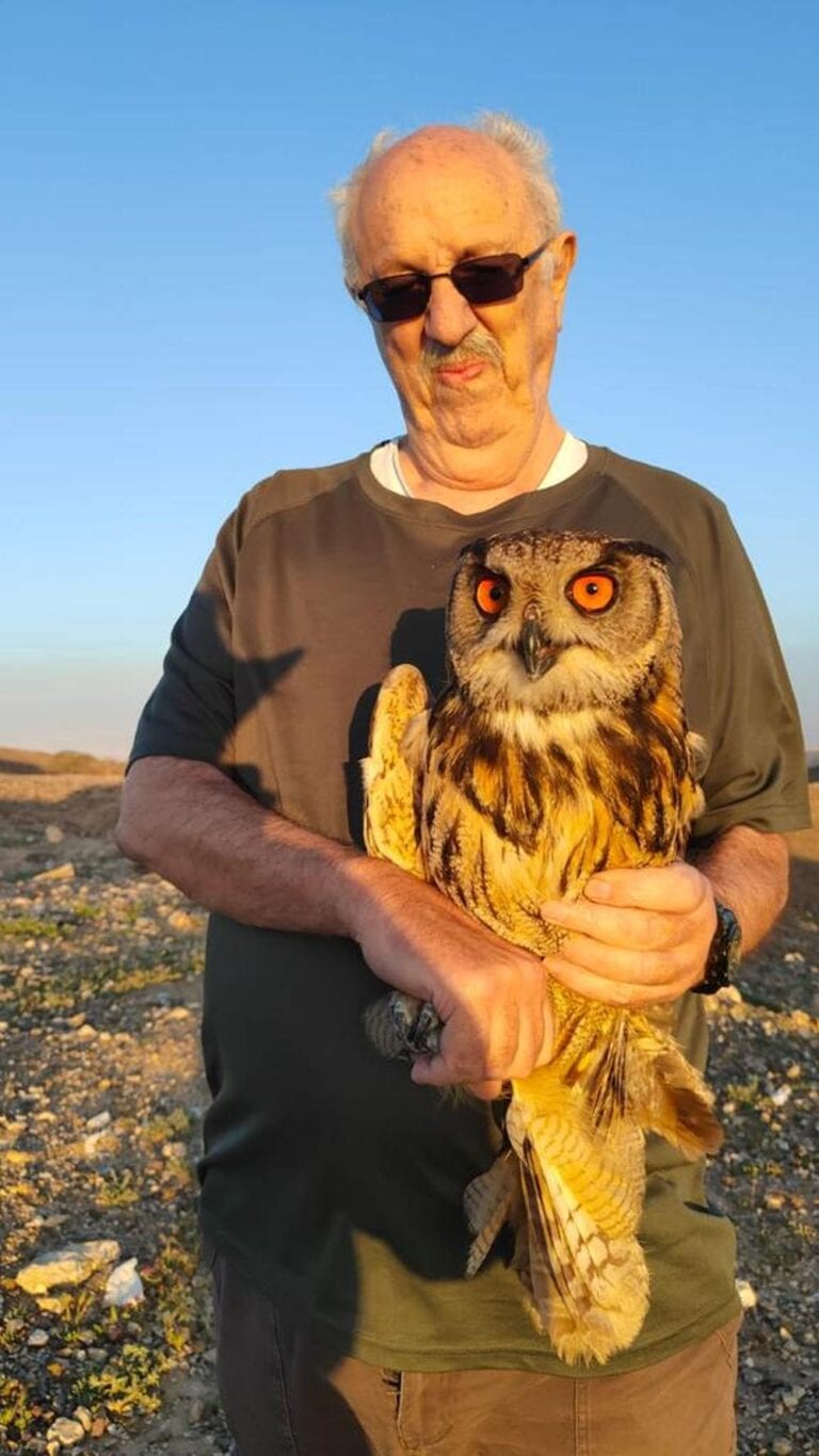 Haibulance volunteer Willy Pasternak returns a horned owl to nature after treatment at Israeli Wildlife Hospital. Photo courtesy of Ashalim