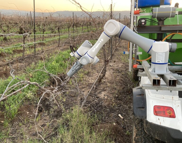 A robotic vineyard worker. Photo courtesy of Robotic Perception