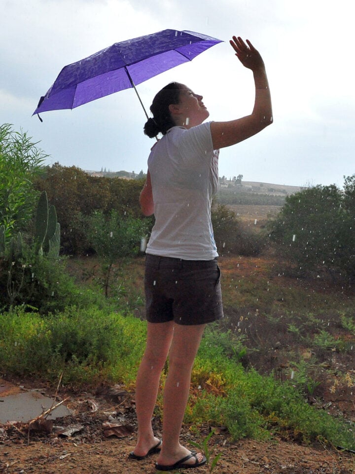 Rain may encourage biodiversity. Photo by ChameleonsEye via Shutterstock.com