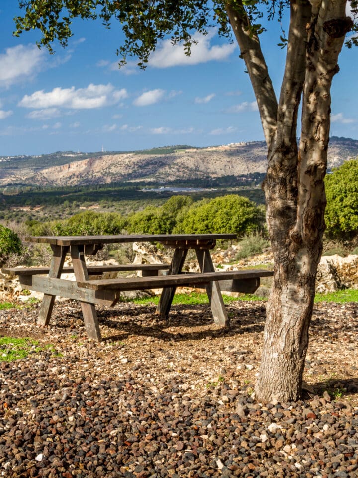 View of the Upper Galilee by Alefbet via Shutterstock.com