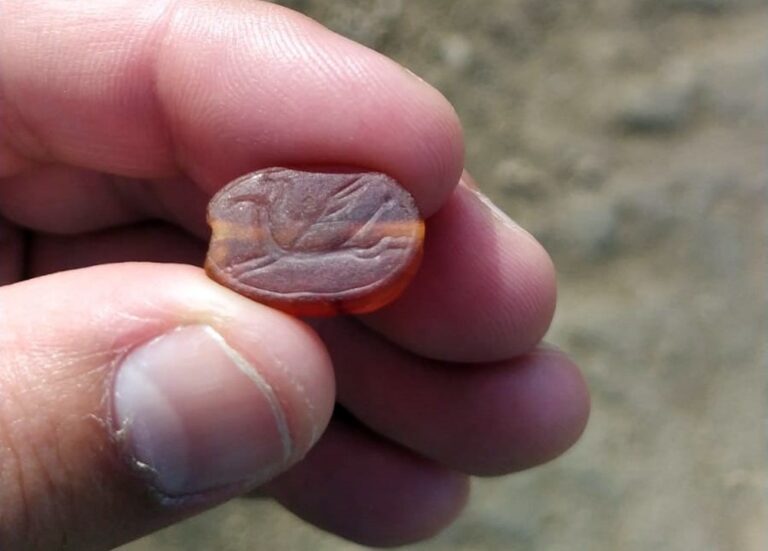 Avrahamov found the small orange stone among the dirt on the hiking trail. Photo by Erez Avrahamov