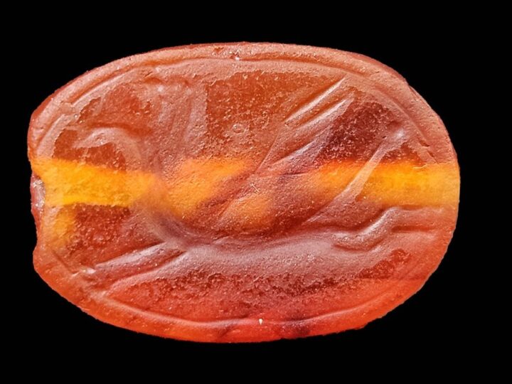 The 2,800-year old scarab depicts a griffin or a winged horse galloping, characteristic of artwork from the eighth century BCE. Photo by Anastasia Shapiro/Israel Antiquities Authority
