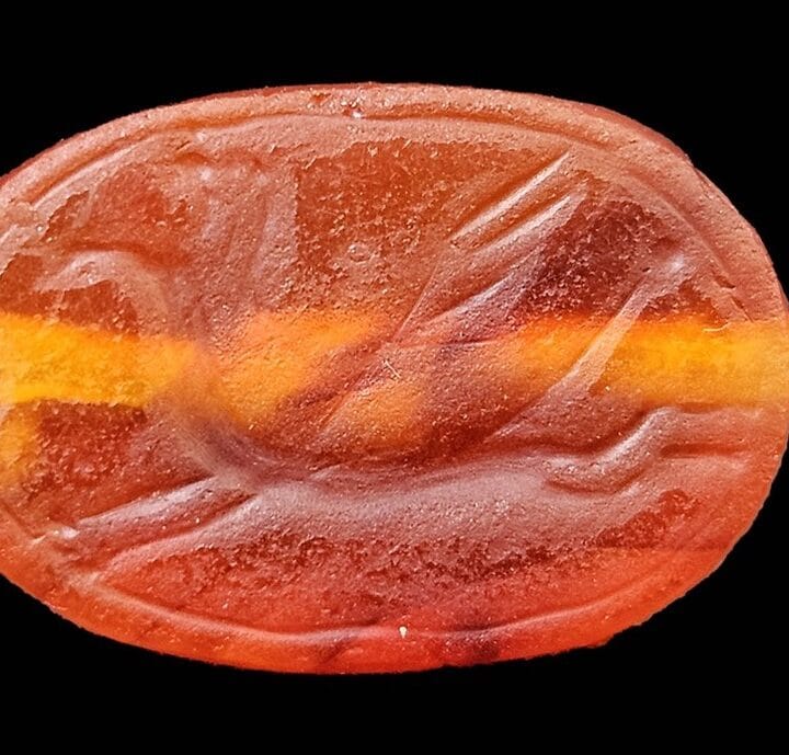 The 2,800-year old scarab depicts a griffin or a winged horse galloping, characteristic of artwork from the eighth century BCE. Photo by Anastasia Shapiro/Israel Antiquities Authority