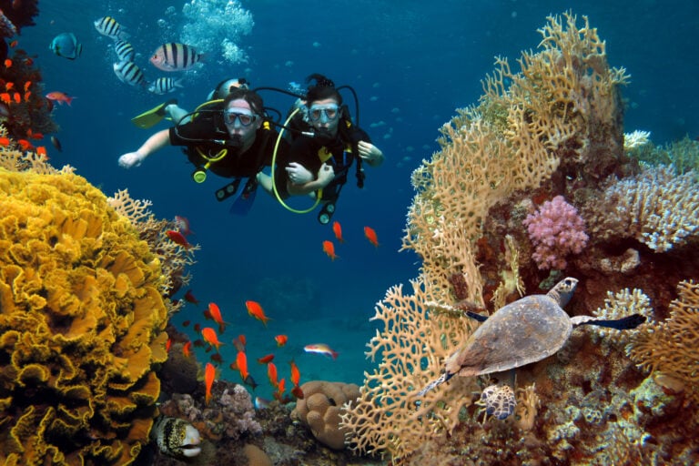 Divers among corals and fish. Photo by Olena Gaidarzhy via Shutterstock.com