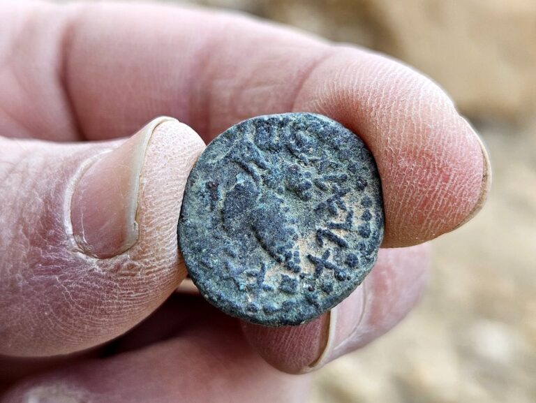 The “Eleazar the Priest” Coin. A bunch of grapes is surrounded by the text “Year One of the Redemption of Israel” in ancient Hebrew script. Photo by Oriya Amichay/Israel Antiquities Authority