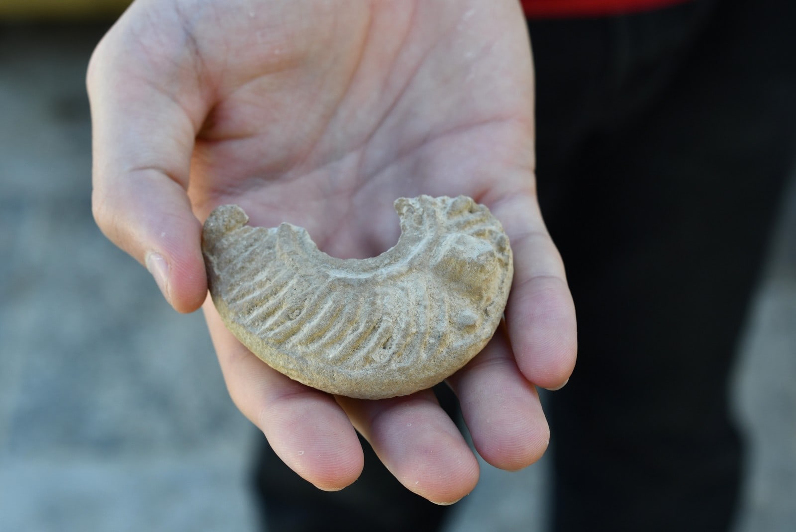 The 1,600-year-old oil lamp. Photo by Yoli Schwartz/Israel Antiquities Authority