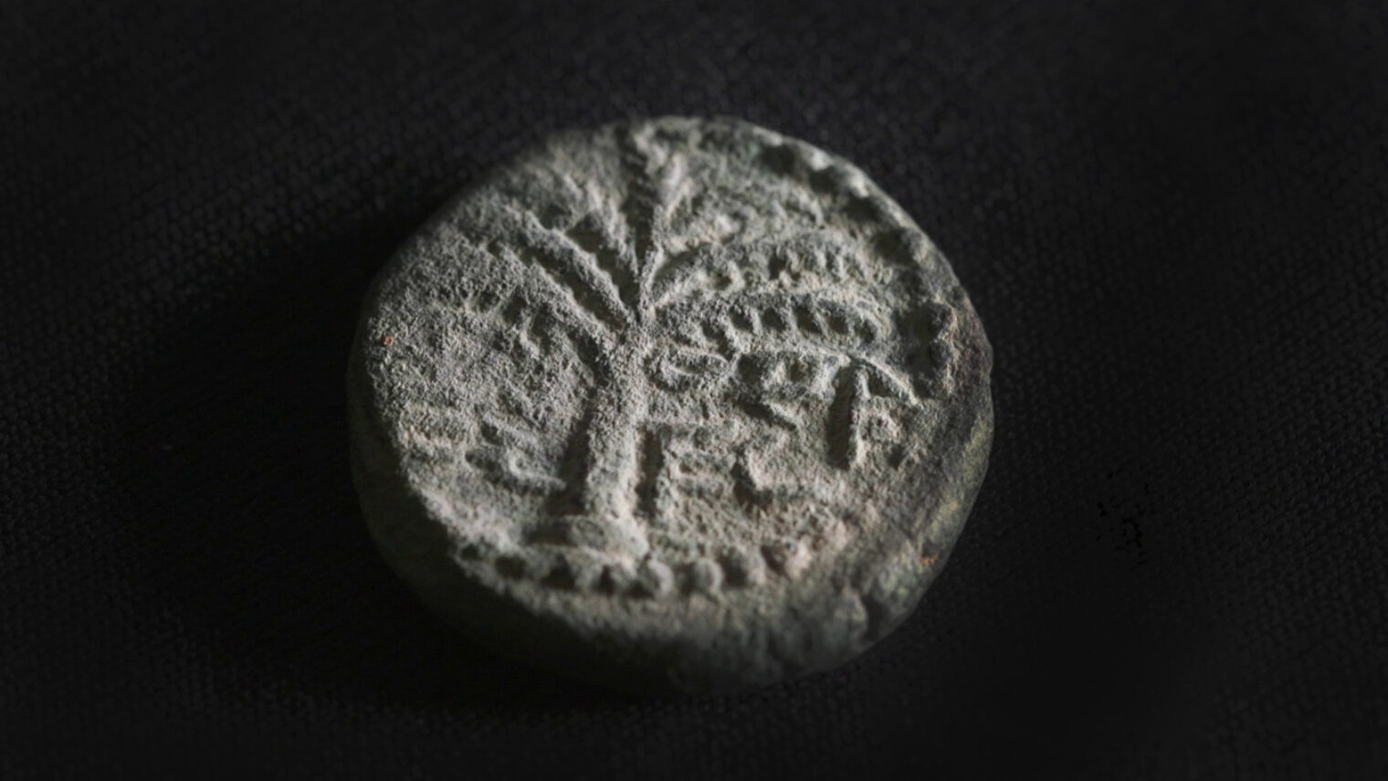 The rare coin. A date palm is engraved, with the inscription “Eleazar the Priest” inscribed in ancient Hebrew script. Photo by Emil Aladjem/Israel Antiquities Authority