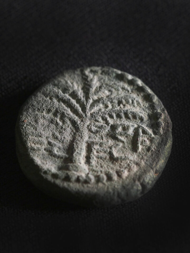 The rare coin. A date palm is engraved, with the inscription “Eleazar the Priest” inscribed in ancient Hebrew script. Photo by Emil Aladjem/Israel Antiquities Authority