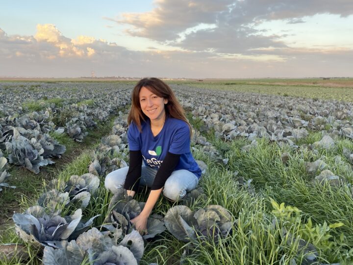 Danielle Abraham in a Western Negev cabbage field. Photo courtesy of ReGrow Israel