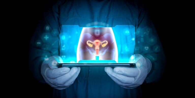 A physician analyses a hologram of the female reproductive system. Photo by Antonio Marca/Shutterstock.