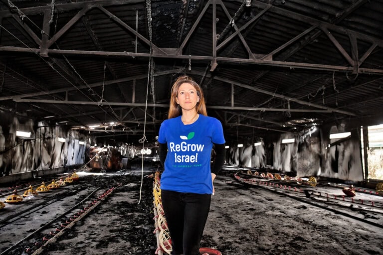 Hamas destruction of Israeli farms near Gaza was a systematic attempt to harm the country’s food production. Photo of Danielle Abrahams in a burned-out shed on Nir Oz. Photo by Noam Chen