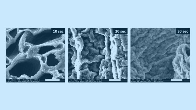 Representative images of a microstructure of formed hydrogels under various ultrasound induction durations, taken by a scanning electron microscope. Photo courtesy of Technion-Israel Institute of Technology