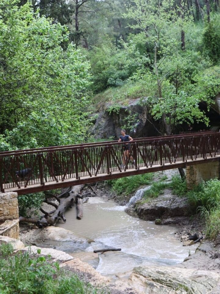 A bridge crosses the titular nahal (river) in the newly reopened Nahal HaShofet park. Photo By Alex Kolomoisky/KKL-JNF