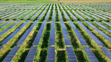 Agrivoltaics is a hybrid method producing crops and solar energy on the same plot. Photo courtesy of Agri-Light Energy Systems