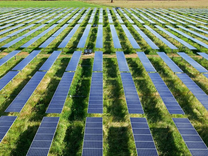 Agrivoltaics is a hybrid method producing crops and solar energy on the same plot. Photo courtesy of Agri-Light Energy Systems